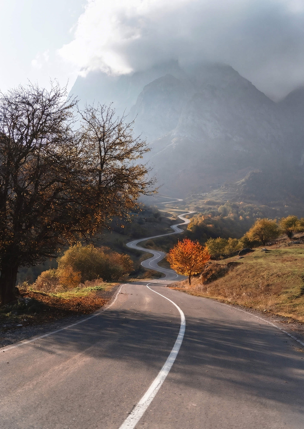 The Full Journey total college application management - OpenFUTURE US College Admissions Consulting